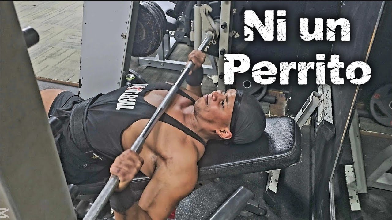 RUTINA COMPLETA DE PECHO PARA PRINCIPIANTES EN EL GYM - YouTube