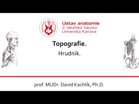 Video: T8 Hrudní Obratle, Anatomie A Funkce - Body Mapy