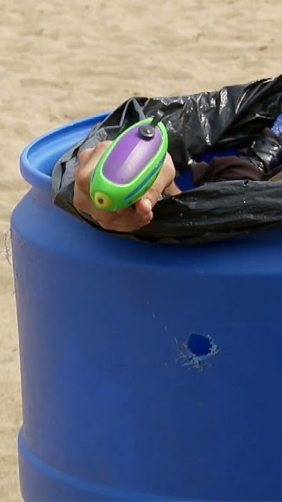 Skunk At The Beach #SHORTS | Just For Laughs Gags