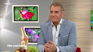 Arthrose | Dr. Kurscheid zu Gast bei Hier und heute | 13.05.2022