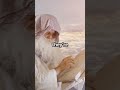 The Two Witnesses | God’s Final Prophets