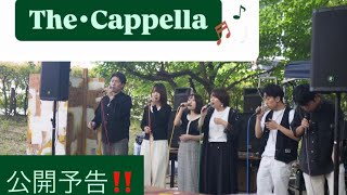 The･Cappella【公開予告‼️】