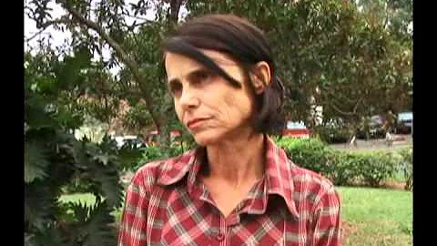O que a prefeitura faz com animais mortos?