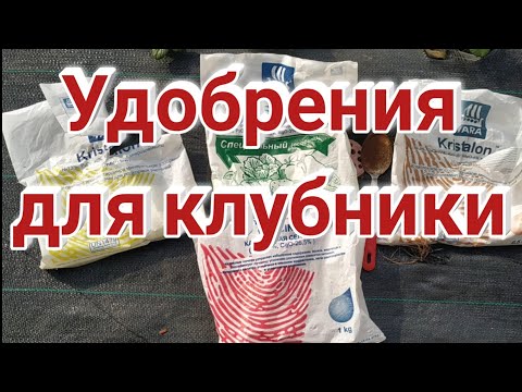 Удобрения для клубники. Что использовать и когда? Belklubnika.by