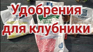 Удобрения для клубники. Что использовать и когда? Belklubnika.by