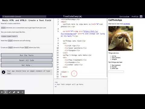 Learn Basic HTML and HTML5: Create a Text Field | freeCodeCamp.org 17