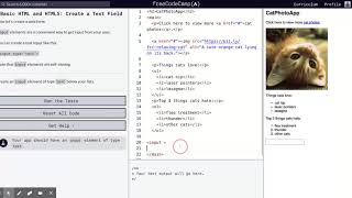 Learn Basic HTML and HTML5: Create a Text Field | freeCodeCamp.org 17