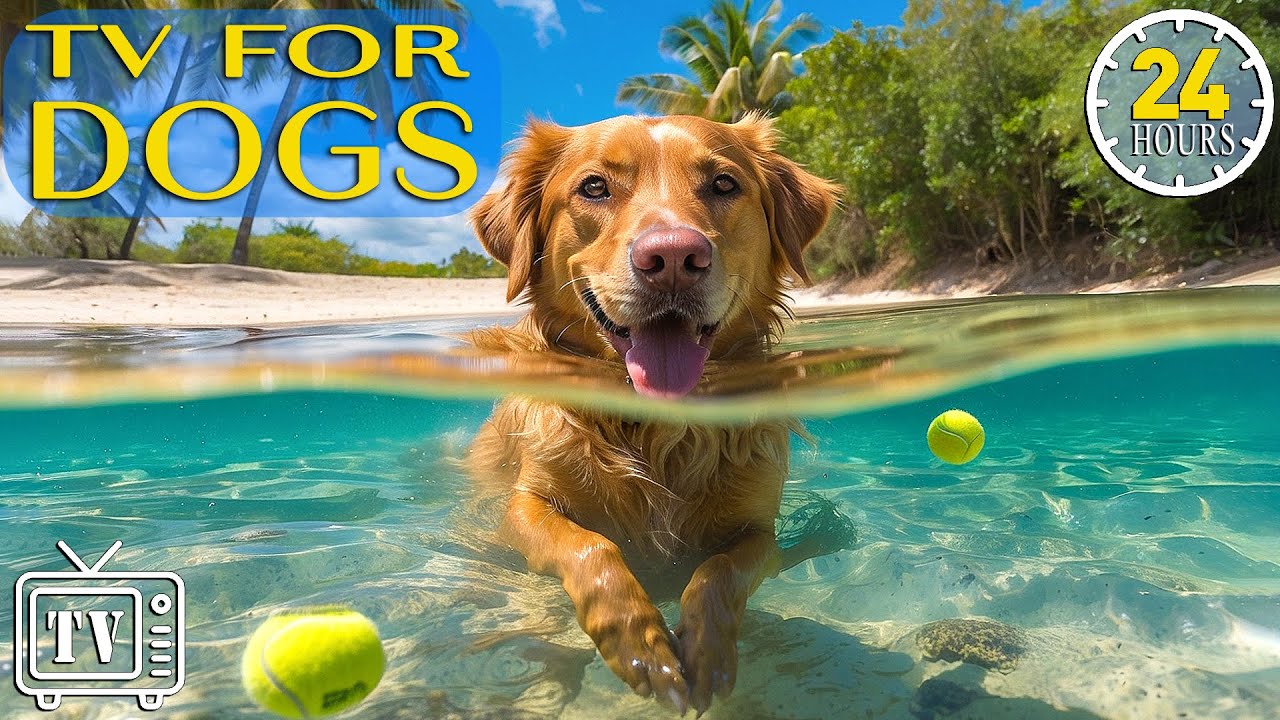 DOGS \u0026 PUPPIES in 4K | 2 Hours | Relaxing Ambient Music Strings Cute Pets