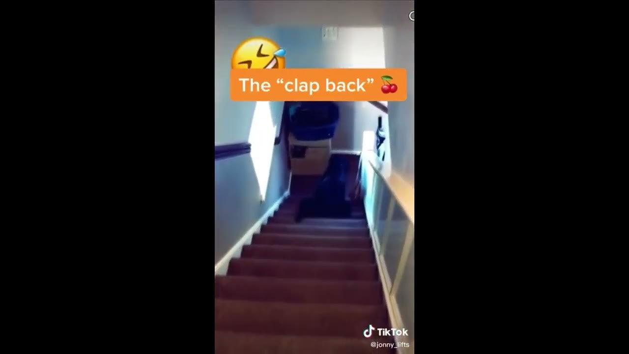 How different dogs go down the stairs YouTube