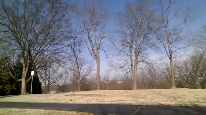 My Trip to Fox Hill Park
