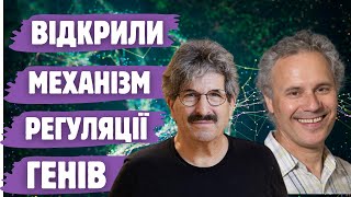 картинка: Нобелівська премія за відкриття мікроРНК. Фізіологія та медицина 2024 року.