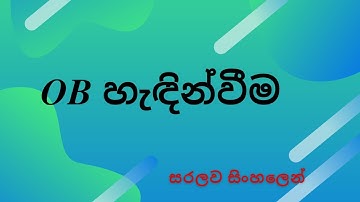 Introduction to Organizational Behavior | What is OB? | සිංහල | Uni Academy