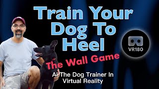 How to Train your Dog to Heel, In VR180!  The Wall Game