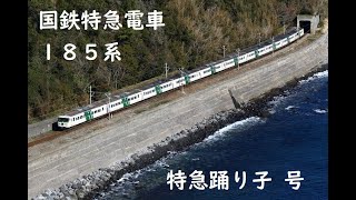 国鉄特急電車 185系 伊豆急行線　　伊豆稲取～今井浜海岸　踊り子5号　　A7編成