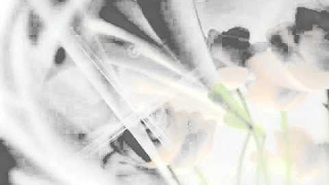 تلاوة للقارئ محمد المدني.mp4