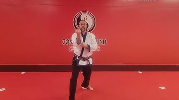 Pyung Ahn Ee Dan Section 4