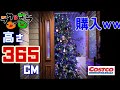 【散財】コストコ最大のクリスマスツリーを買ったら自宅が大変なことに・・・！！ / COSTCO / 巨大ツリー 365cm/12ft