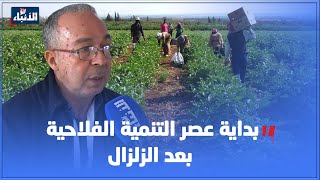 الحوز تنهض من تحت الأنقاض..بداية عصر التنمية الفلاحية بعد الزلزال