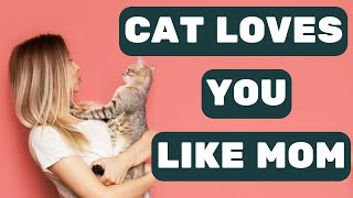 10 Signs Your Cat Loves You Like a Mom: You Won't Believe ! by Pet in the Net 928 views 7 months ago 4 minutes, 28 seconds