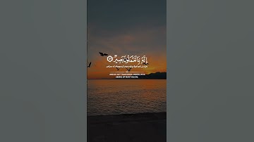 فاستقم كما أمرت و من تاب معك و لا تطغوا إنه بما تعملون بصير || القارئ: اسلام صبحي