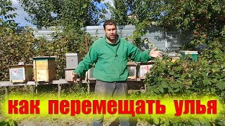 Перемещение семей пчел на небольшие расстояния по пасеке