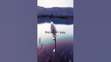 Thumbnail of Mr Brightside lyrics #edit #thekillers #mrbrightside #song #lyrics