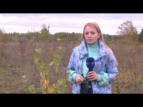 За нецелевое использование земель собственникам грозит штраф