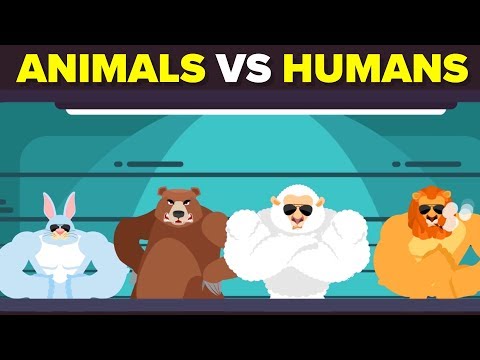 What If Animals Went To World War With Humans?