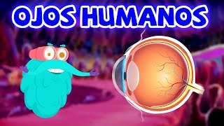 Asombrosos secretos del ojo humano | Ciencias para niños | Video Educativo