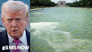 'Priorities not with American people': McKinnon slams Trump’s focus on reflecting pool, ballroom