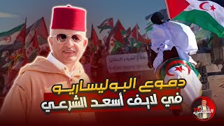 🚨 دموع البوليساريو في لايف أسعد الشرعي 😳 #اسعد_الشرعي #المغرب #الصحراء_المغربية