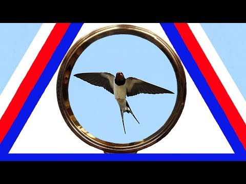 ОПЕРАЦИЯ ПРЕЕМНИК 2024