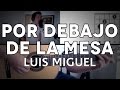 Por Debajo De La Mesa Luis Miguel Tutorial Cover - Guitarra [Mauro Martinez]