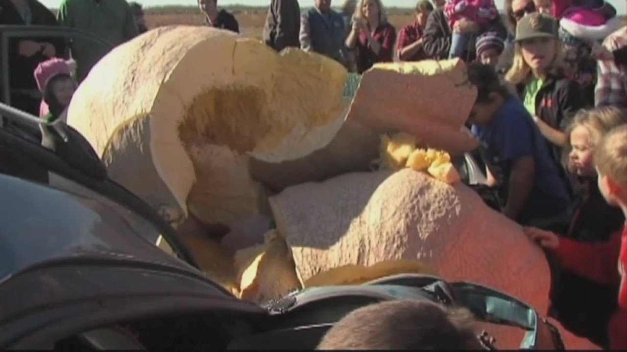 MN Town Raises Money For Literacy By Smashing A Pumpkin - YouTube