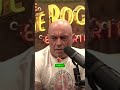 Elon Musk and Joe Rogan talk about performance enhancers. #podcast #joerogan #trending #elonmusk