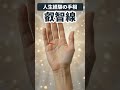 【手相】年齢とともに心が強くなる！悟りに近づく叡智線