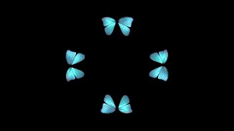 Butterfly Hologram Video HD