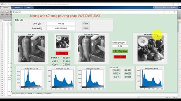 Giới thiệu thuật toán thủy vân ảnh LWT-DWT-SVD