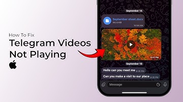 How to Fix Telegram Videos not playing on iPhone?