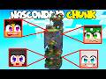 NASCONDINO IN UN SOLO CHUNK SU MINECRAFT