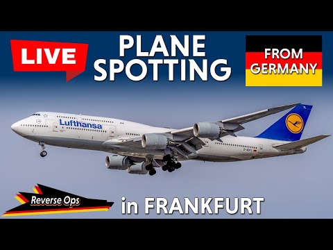 Live Planespotting at Frankfurt Airport | Real-Time Arrivals & Departures!