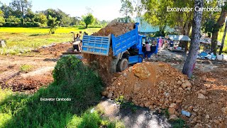 Full Processing Making New Road By Dump Truck Small Dozer And Breakdown Tree By Heavy Bulldozer