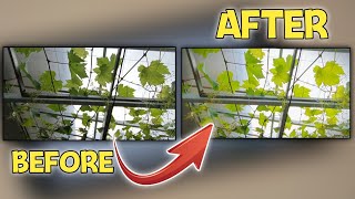 Cara Colour Grading Video Di Capcut - Video Makin Jernih HD screenshot 4