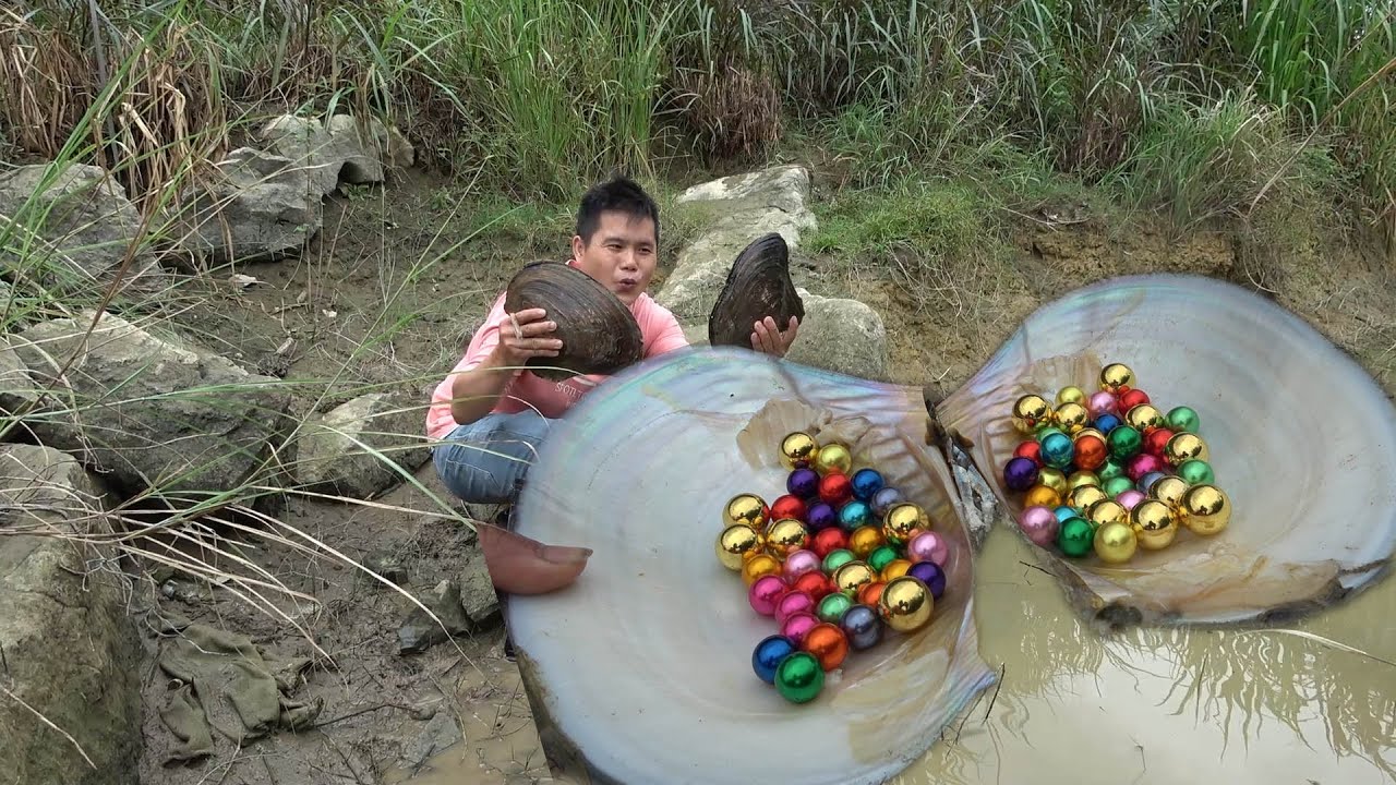 I found big river clams in a river that was almost drying up.There were many colorful pearls inside.