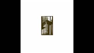 CH415 - Luminous