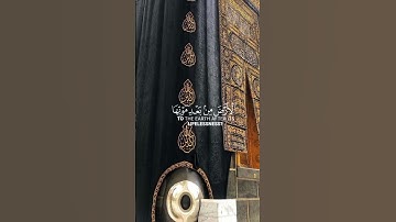 سورة العنكبوت {الآية 63} بصوت الشيخ ياسر الدوسري ❤️❤️