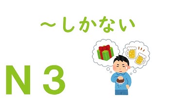 【Ｎ３文法】～しかない