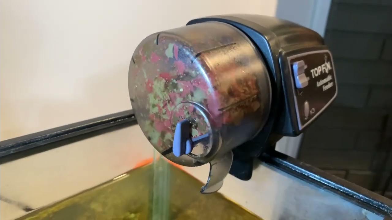 Top Fin automatic fish feeder YouTube