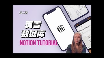 Useful Tips for Notion 2 | 一起玩转数据库！