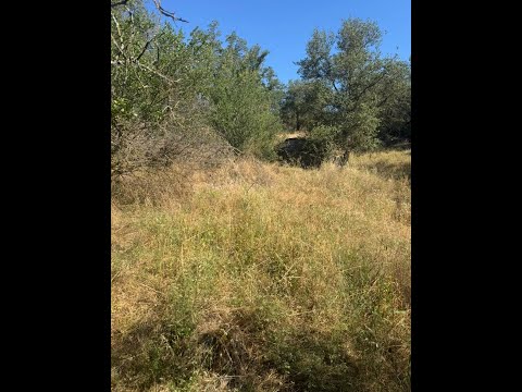 28595 Copper Creek Drive, Coarsegold, CA home video tour